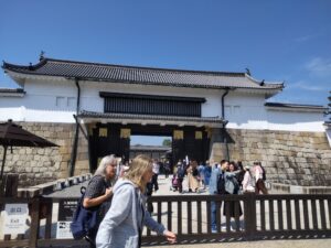 元離宮二条城の桜風景